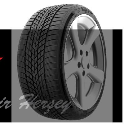 195/65R15 TL 91H CARMILE WINTER MILESTONE