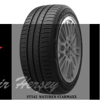 195/65R15 TL 91H NATUREN ST542 STARMAXX YAZLIK