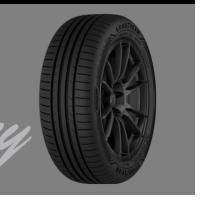 205/55R16 91V EAGLE SPORT 2 YAZLIK