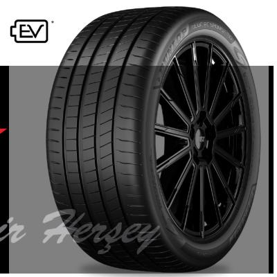 215/45R20 TL 95V XL BLUE RESPONSE TG DUNLOP YAZLIK (ELECTRIC)