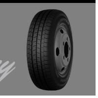 225/65R16C TL 112R DUNLOP SP WINTER VAN 01