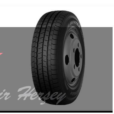 225/65R16C TL 112R DUNLOP SP WINTER VAN 01