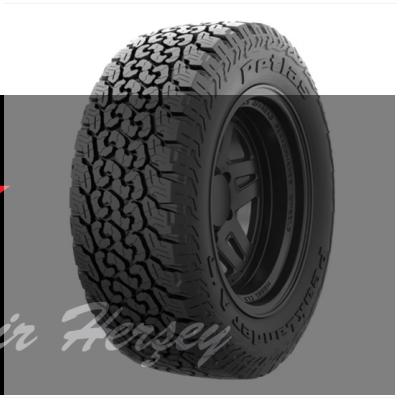 245/65R17 TL 111/110S LRE RWL PETLAS PEAKLANDER A/T YAZLIK