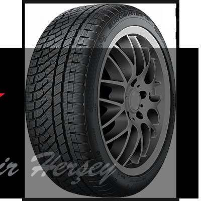 255/35R21 TL 98W XL EUROWINTER HS02 PRO FALKEN KIŞLIK